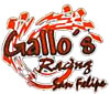Gallo's Racing Team