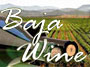 Baja Wines
