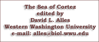 The Sea of Cortez PDF file.